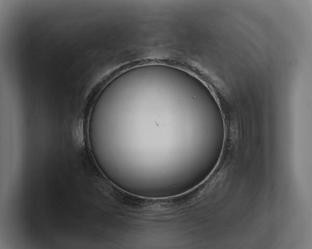 X0000102301262200808011355