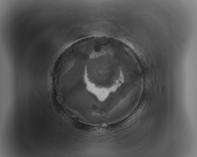 X0000102301263200808011355