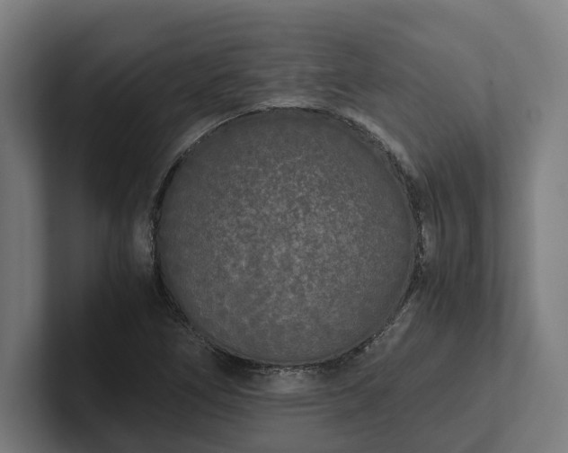 X0000102301266200808011355