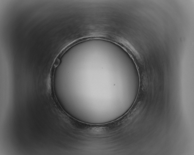 X0000102301268200808011355