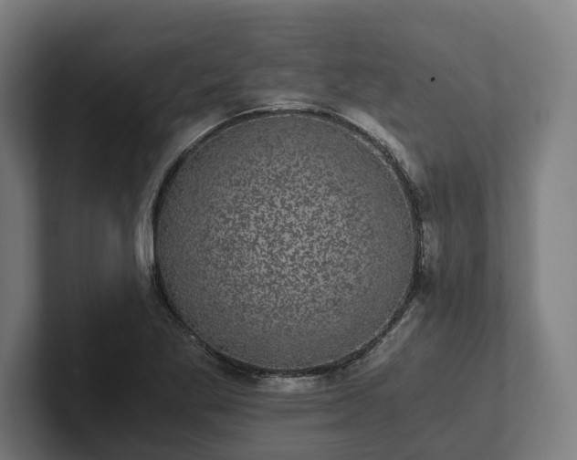 X0000102301269200808011355