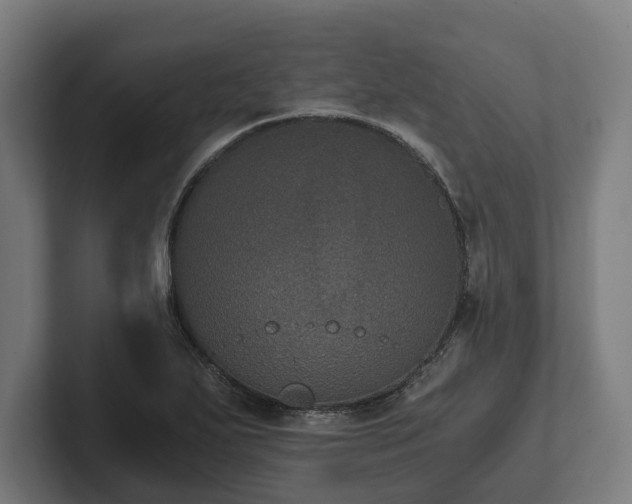 X0000102301271200808011355