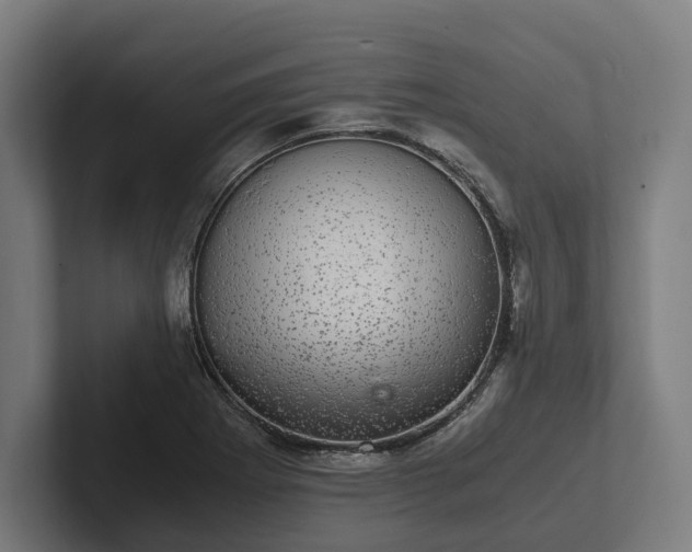 X0000102301273200808011355