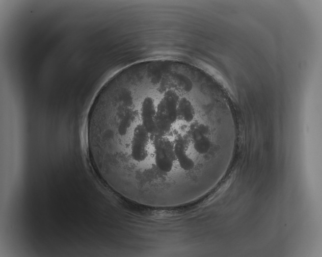 X0000102301275200808011355