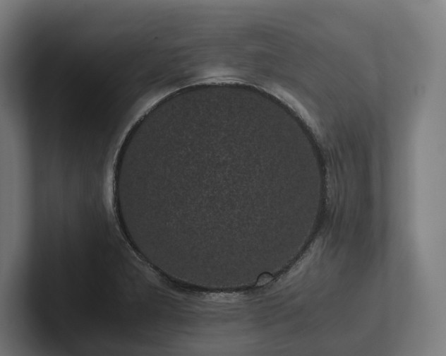 X0000102301277200808011355