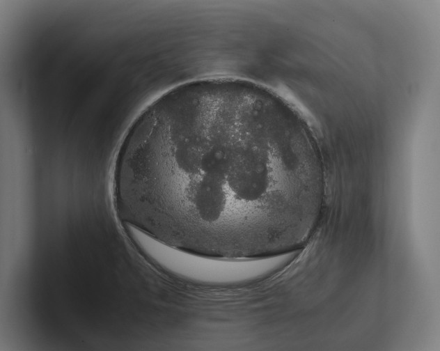 X0000102301279200808011355