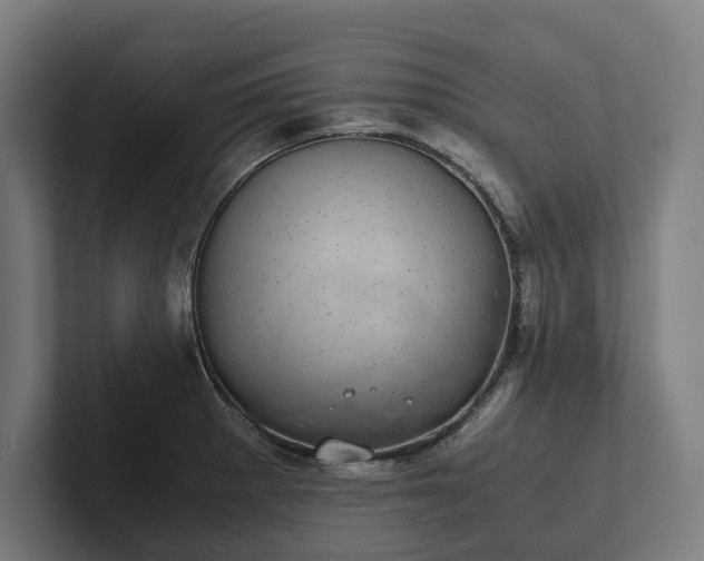 X0000102301281200808011355