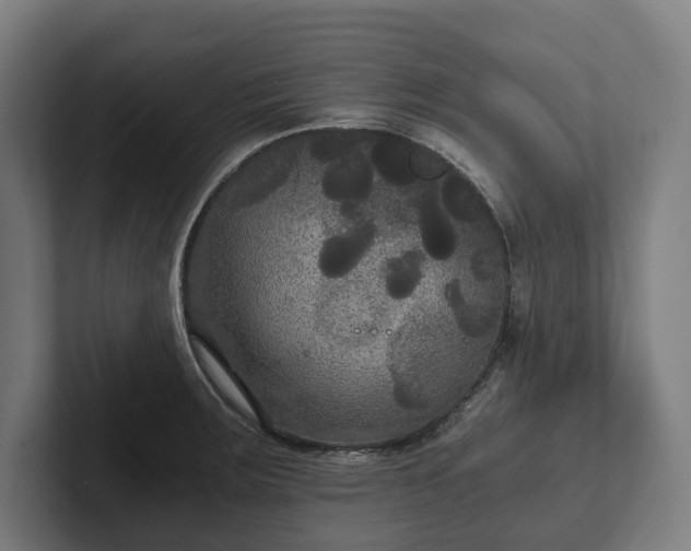 X0000102301283200808011355