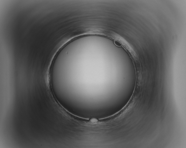 X0000102301284200808011355