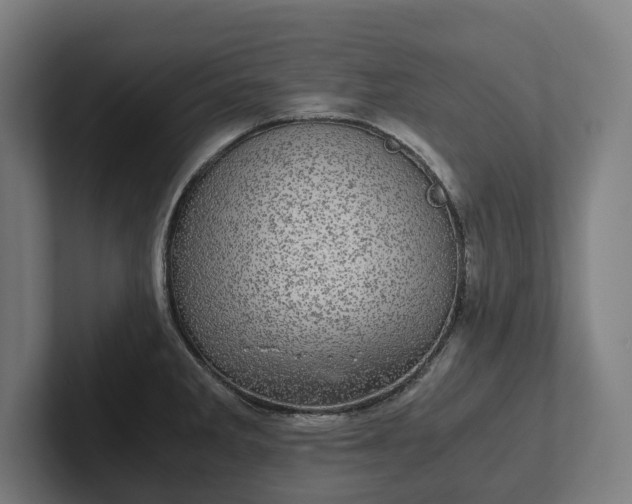 X0000102301285200808011355