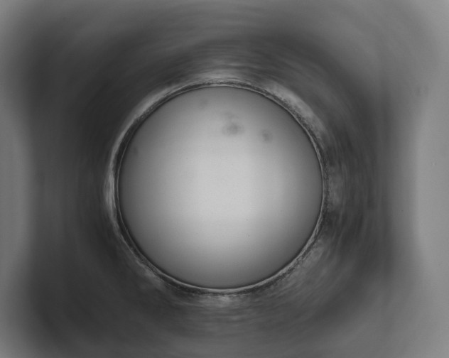 X0000102301286200808011355