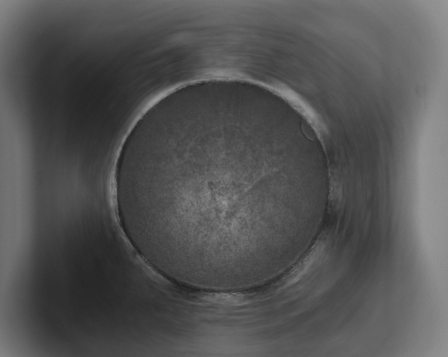 X0000102301287200808011355