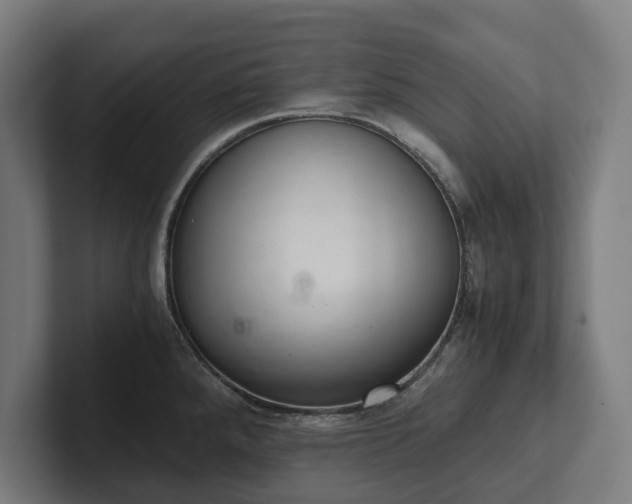 X0000102301288200808011355