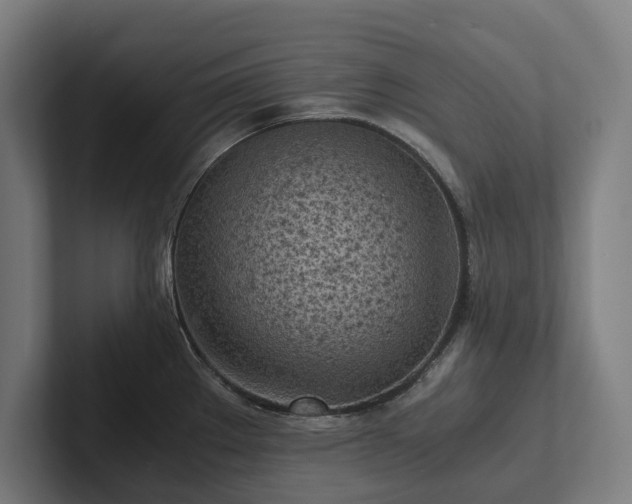 X0000102301289200808011355