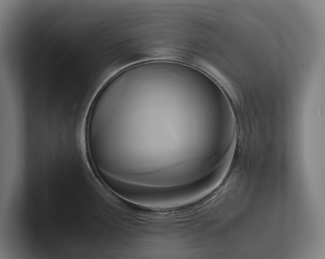 X0000102301291200808011355