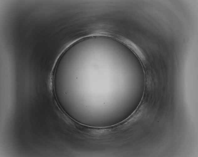 X0000102301292200808011355