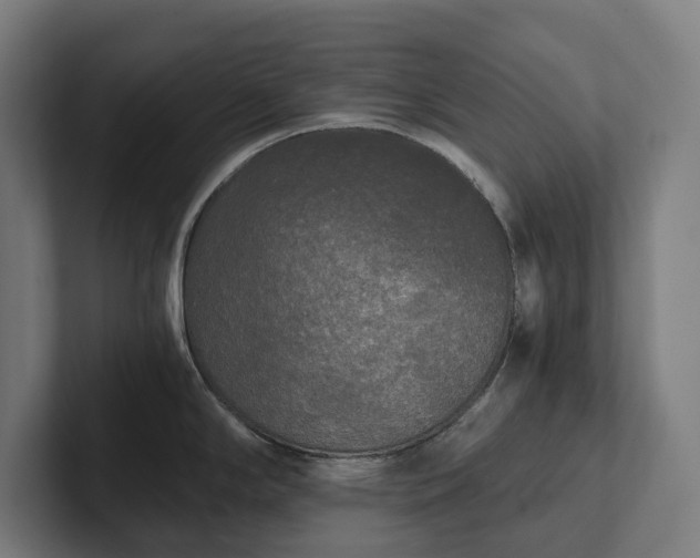 X0000102301294200808011355