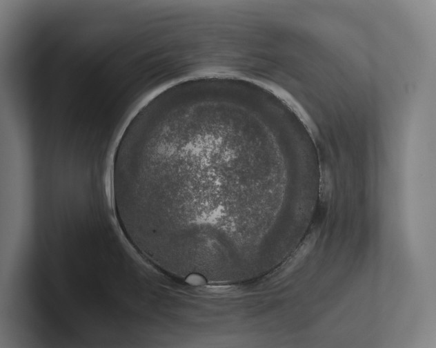 X0000102301295200808011355