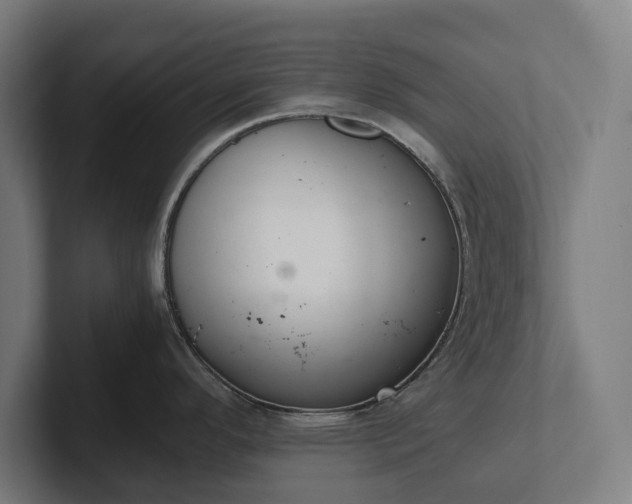 X0000102301296200808011354