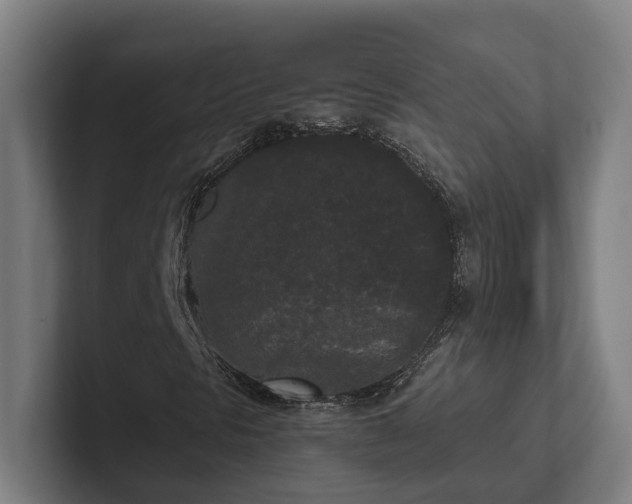 X0000102301297200808011354