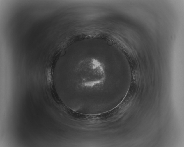 X0000102301298200808011354