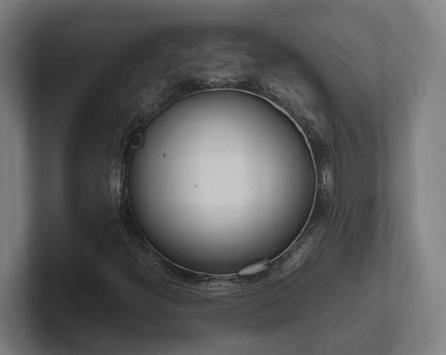 X0000102301300200808011354