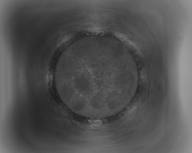 X0000102301302200808011354