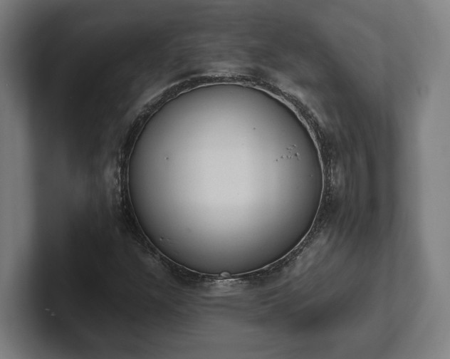 X0000102301304200808011354