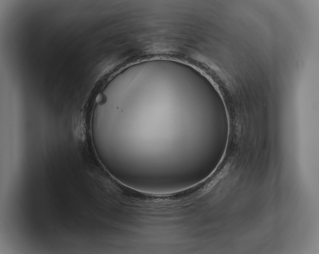 X0000102301306200808011354