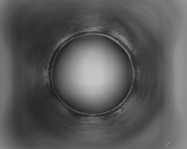 X0000102301308200808011354