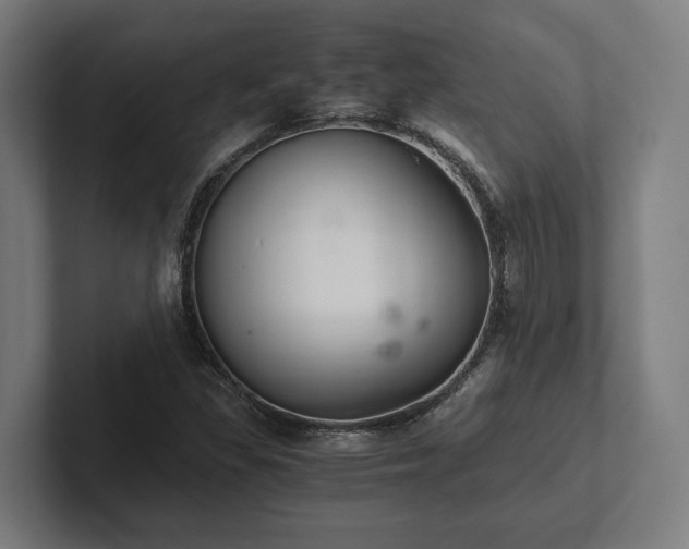 X0000102301309200808011354