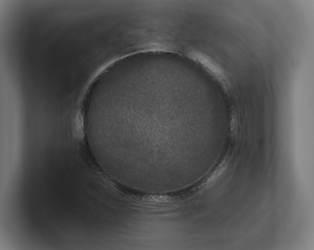 X0000102301310200808011354