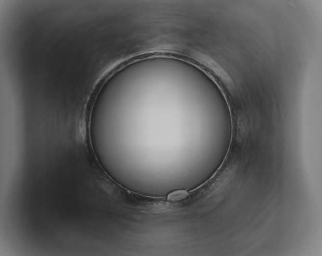 X0000102301316200808011354