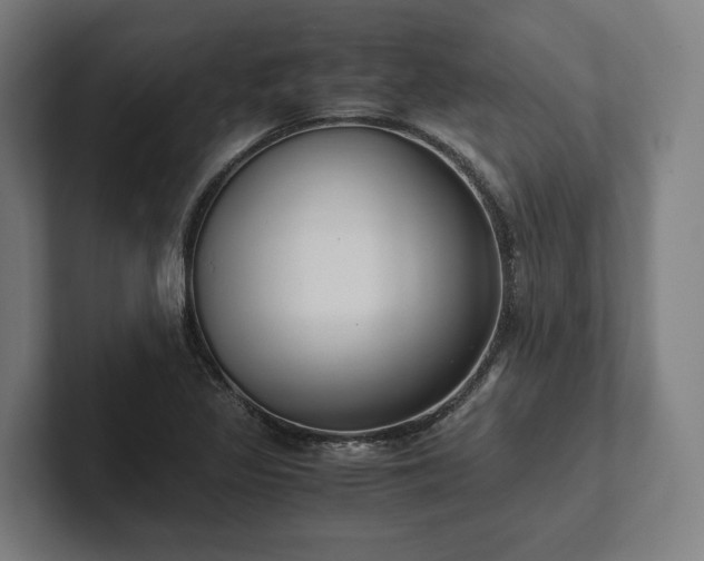 X0000102301317200808011354