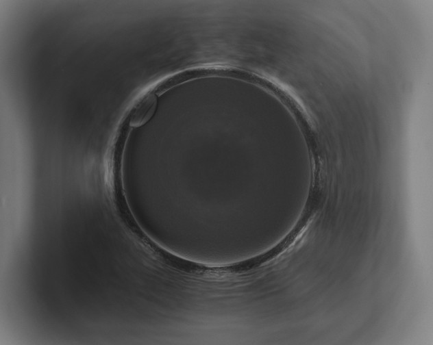 X0000102301319200808011354