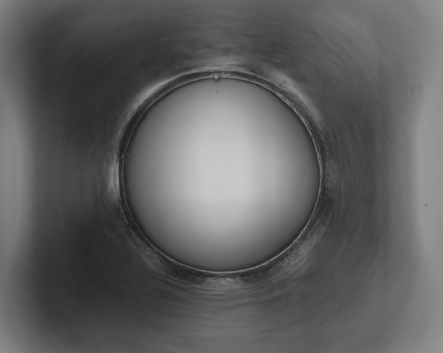 X0000102301320200808011354