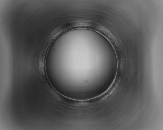 X0000102301321200808011354