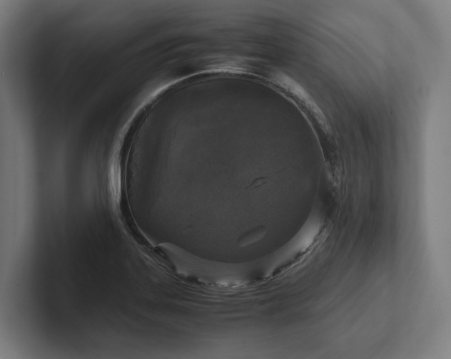 X0000102301323200808011354