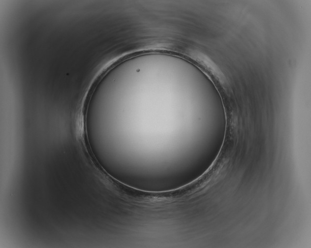 X0000102301324200808011354