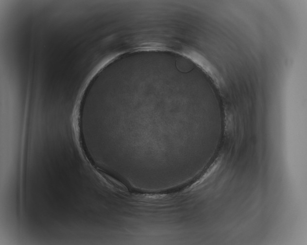 X0000102301325200808011354