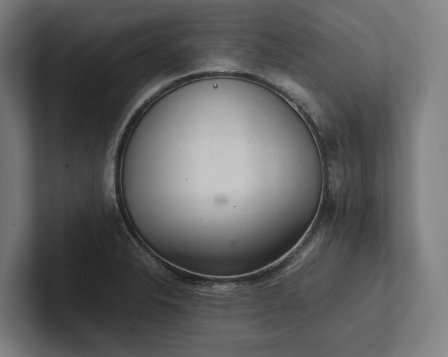 X0000102301326200808011354