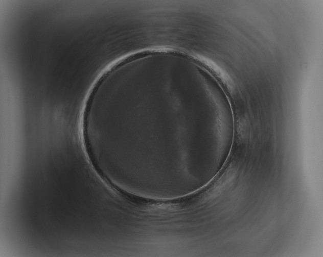 X0000102301327200808011354