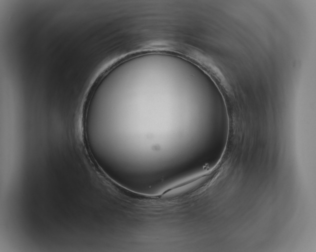 X0000102301328200808011354