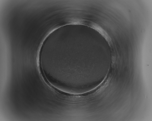 X0000102301331200808011354