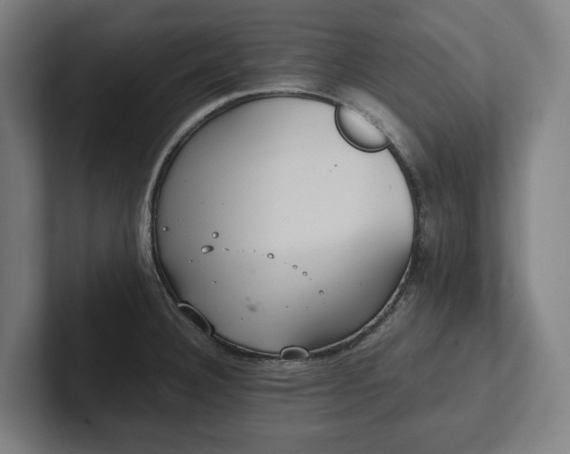 X0000102301332200808011354