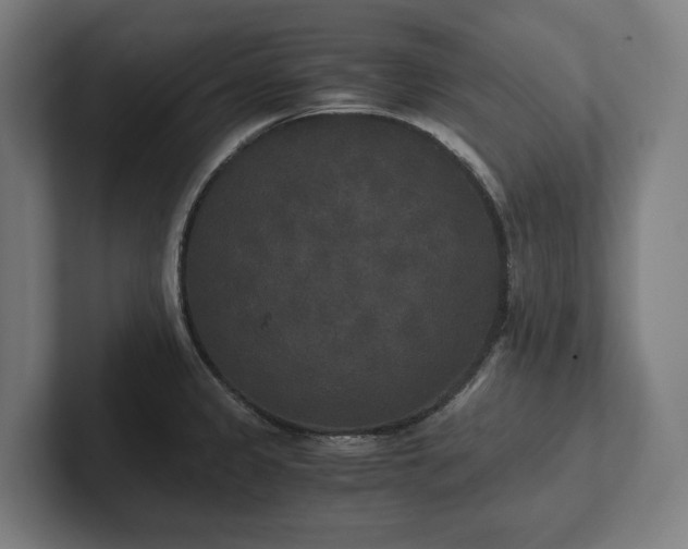 X0000102301333200808011354