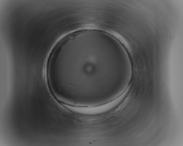 X0000102301334200808011354