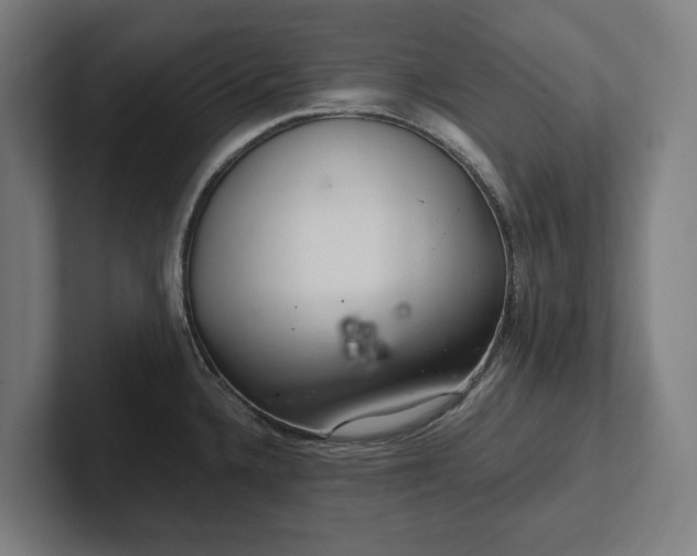 X0000102301336200808011354