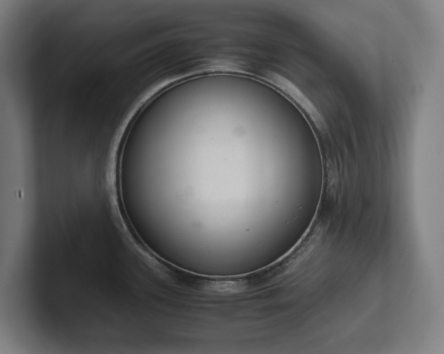 X0000102301339200808011354