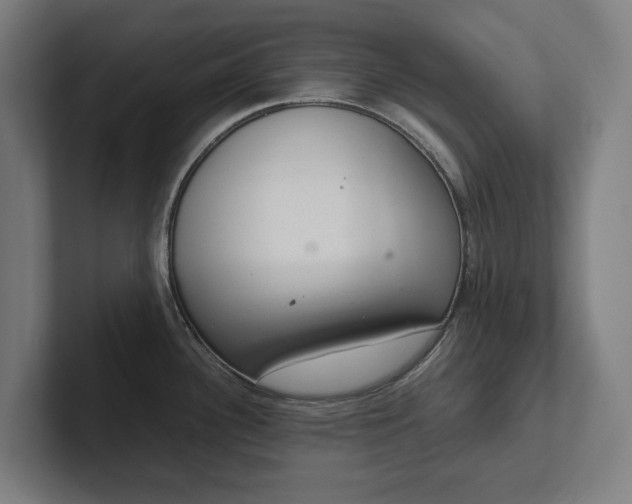 X0000102301340200808011354